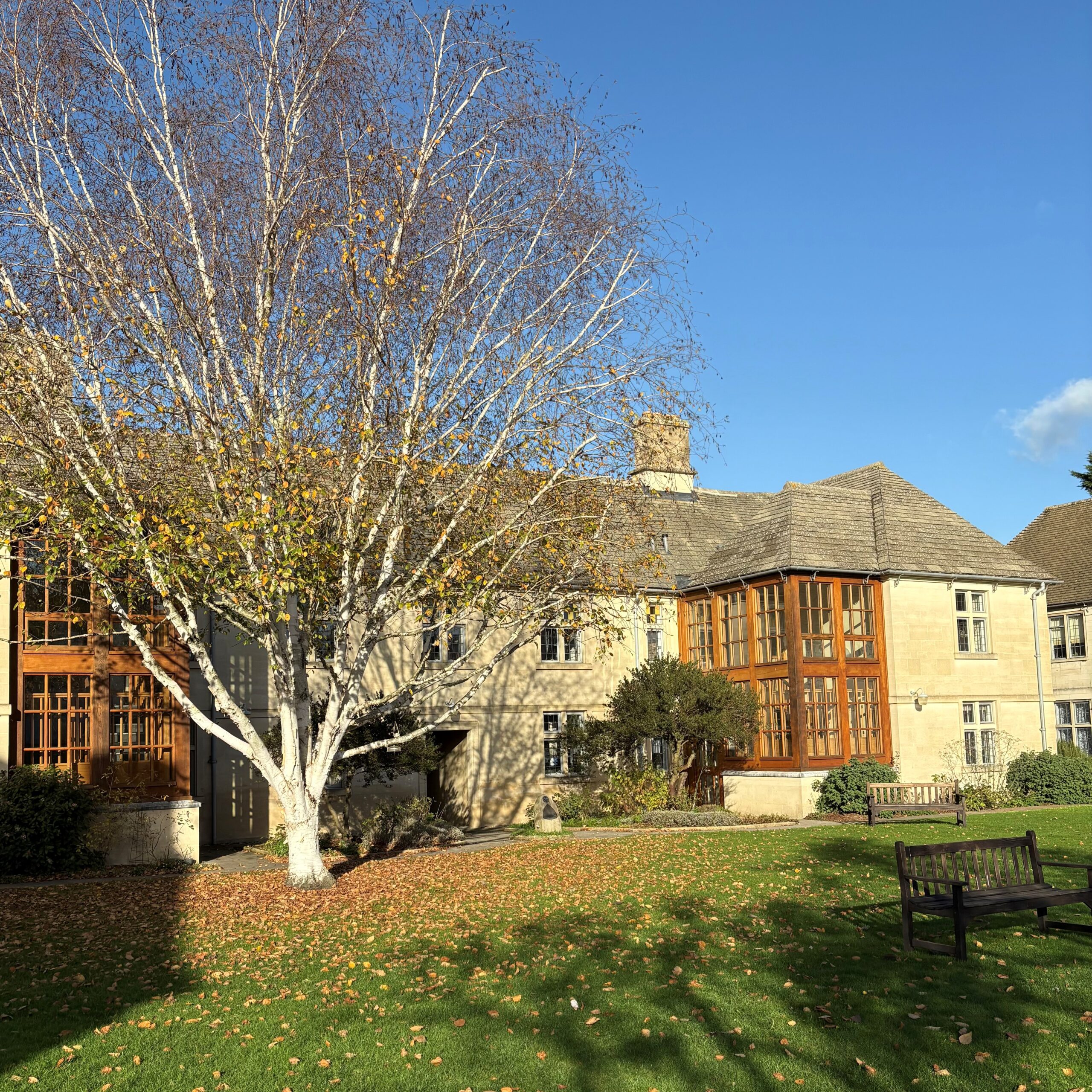 Stone’s Court gardens in winter